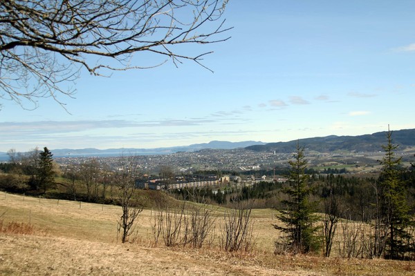 Spring time view to Trondheim