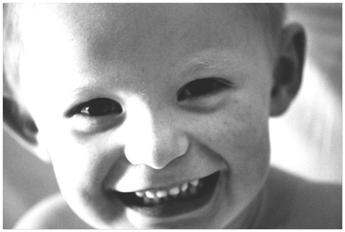 portrait of a boy II