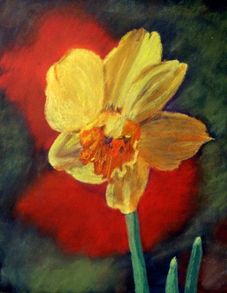 Daffodil
