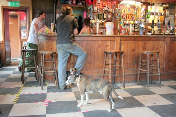 Old Duke Pub Inside