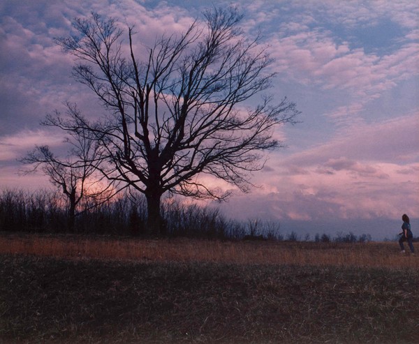 Sunsets In TN