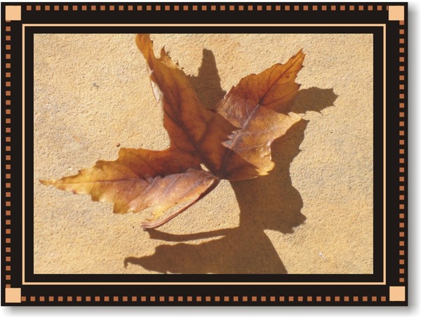 Fall and the Fallen
