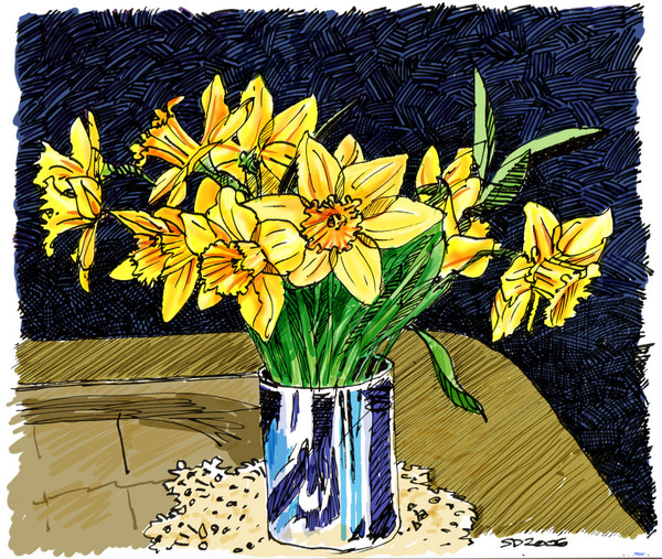 Narcissus