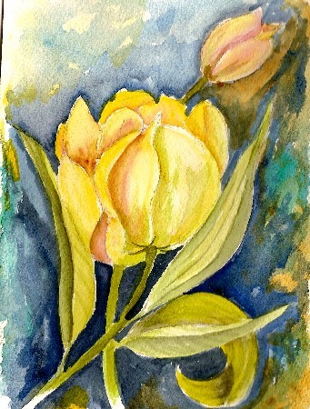 Golden Tulip