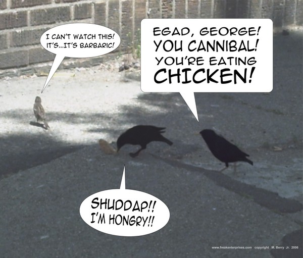 Cannibal Bird