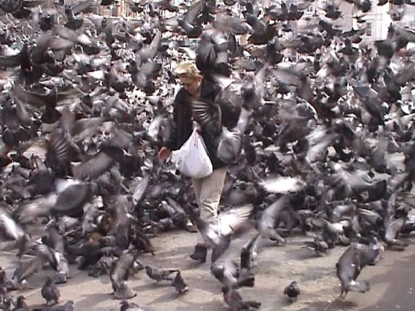 Feeding the pigeons