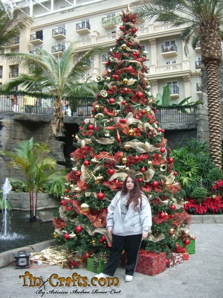 Christmas at Gaylord Palms Resort