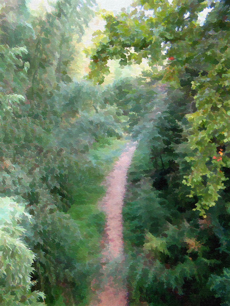 Wooded Passage