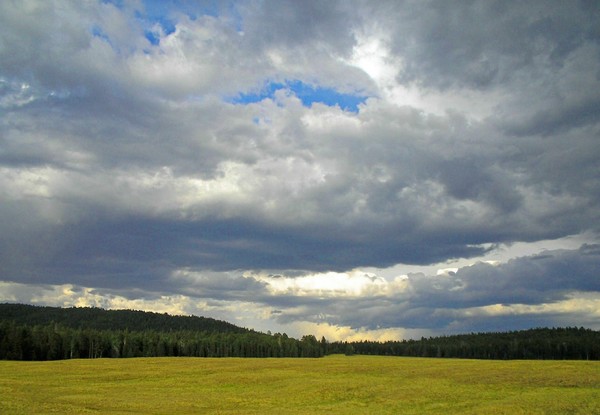 Magnificent Splendor 