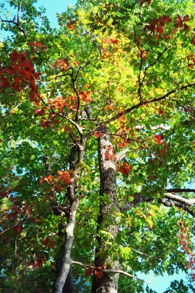 Summer in October