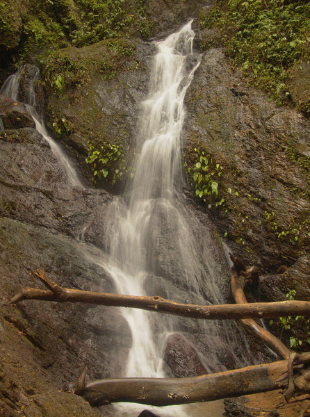 long fall