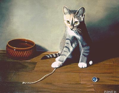 Kitten