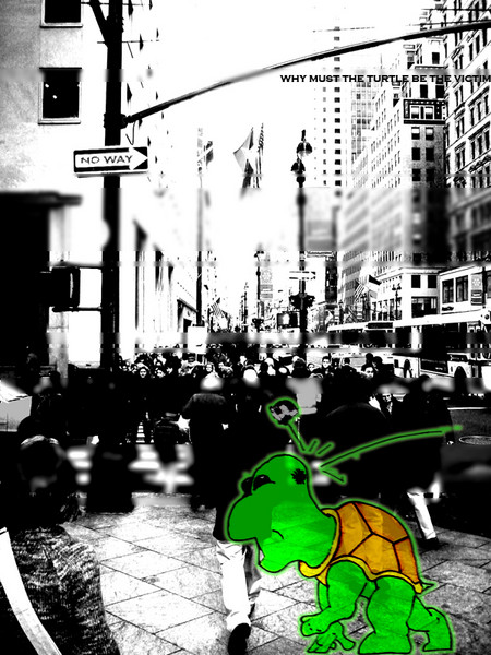 turtle victim