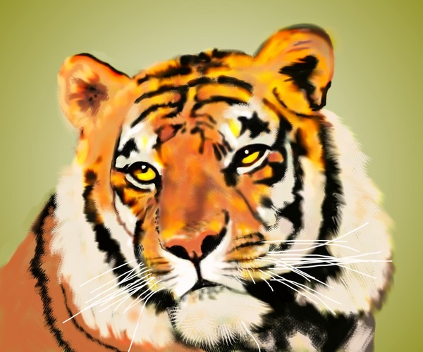Tiger Eyes