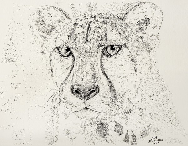 Cheetah
