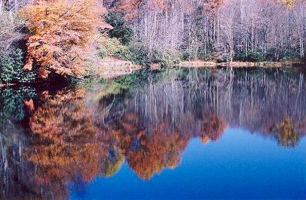 Blue Ridge Reflections