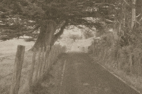 Country Road (II)