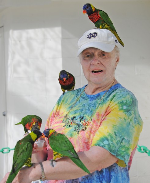 Lorikeets and Me