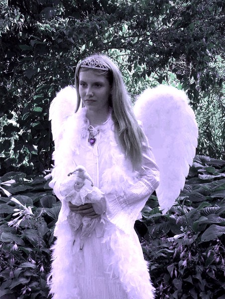THE ANGELS' FOOL