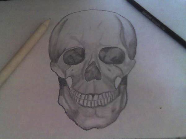 skull