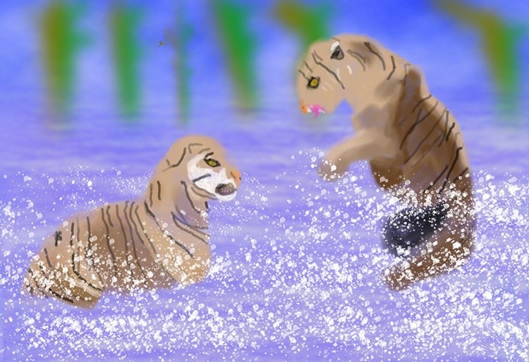 WATER FIGHT!!  P356