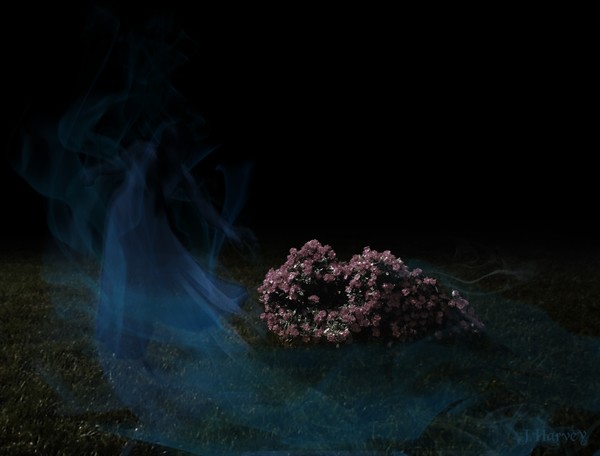 Ghost Picking Flowers Closer