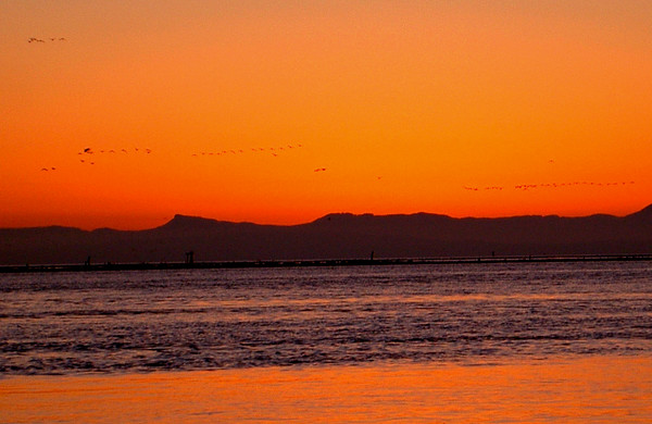 Sunsets They've Flown Into