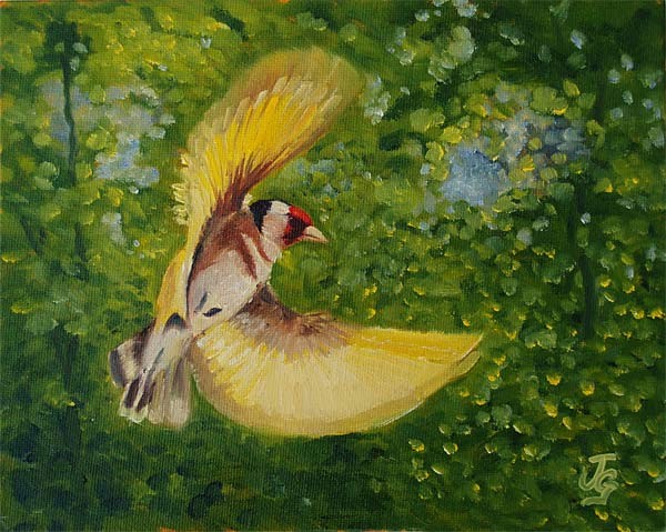 Gold Wings