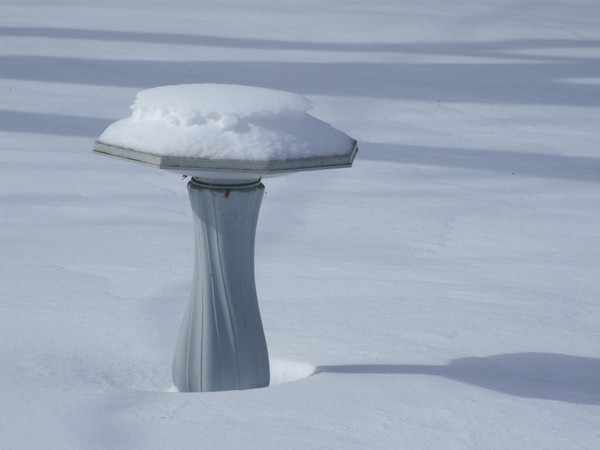 Remembering Winter