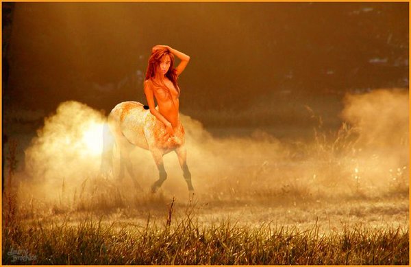 Out Of The Mist