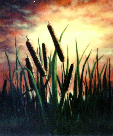 Embracing The Light