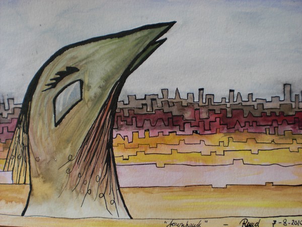 Townhawk