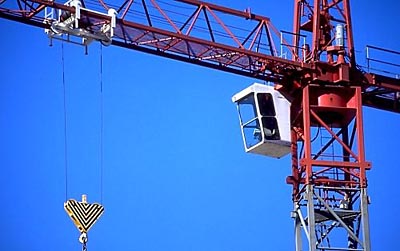 Crane  Copyright Steven M. Anthony Photography