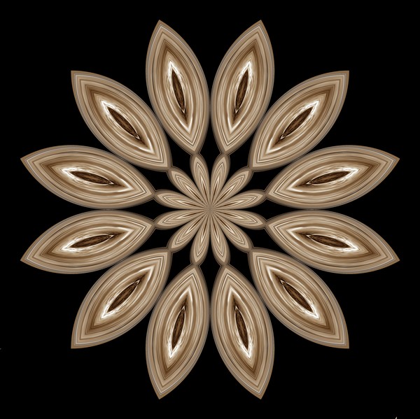 Kaleidoscope Star (One)