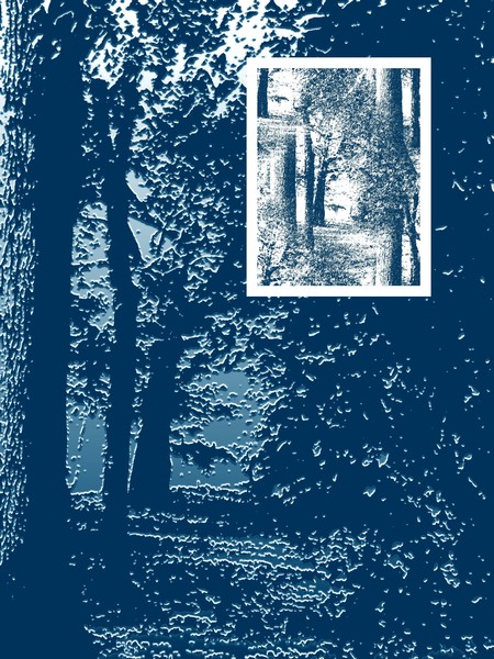 Winter Blue Forest (One)