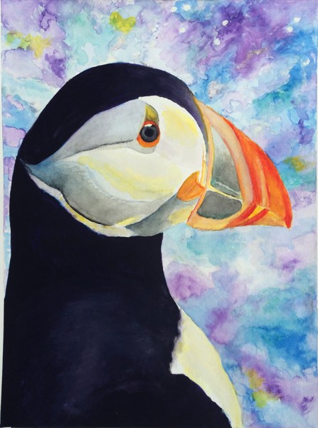 Little Brother Puffin