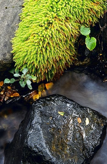 Stream Detail