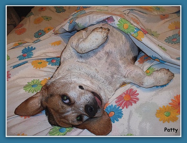 Good Morning Shorty, Love You....