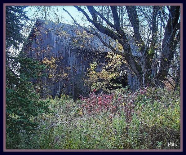This Old Barn...