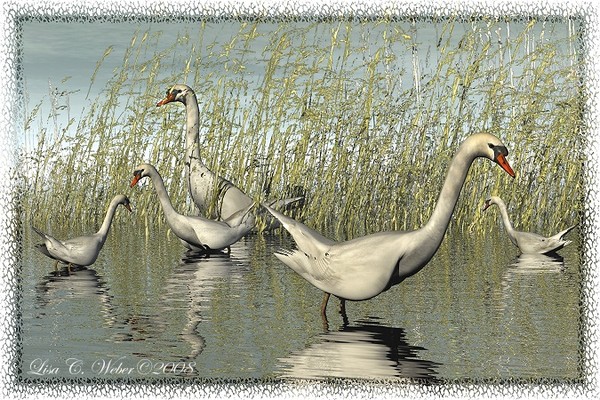 Foraging For Food