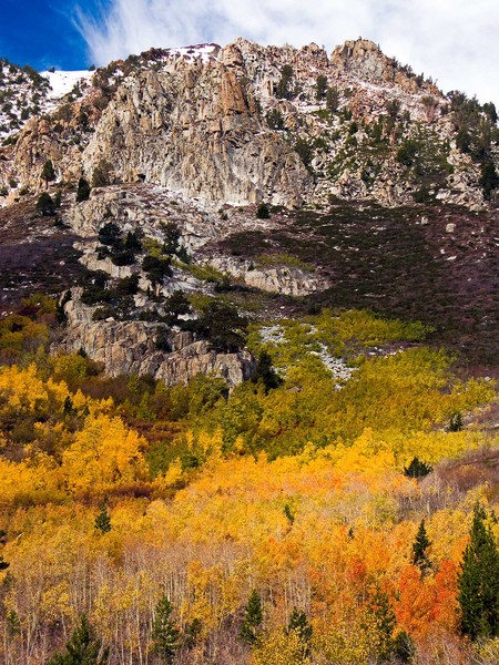 High Mountain Colors