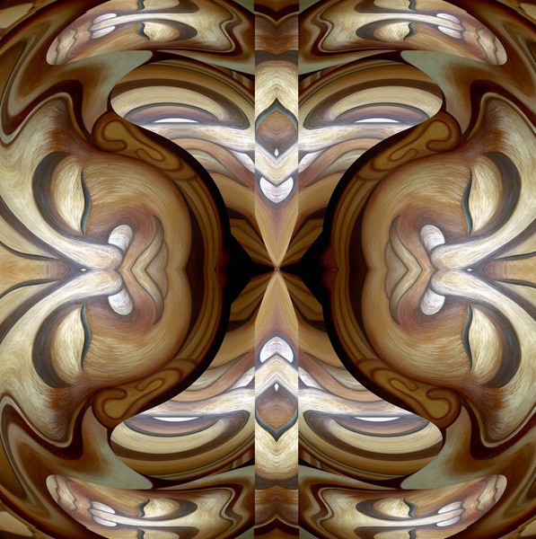 Earth Study 1: TOTEM