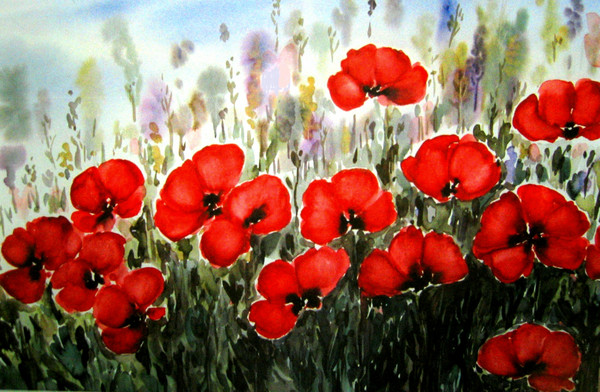 red poppies 4
