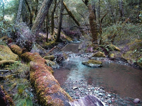 Miners  Creek