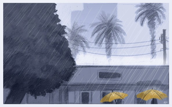 Rainy LA