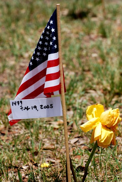 We Remember 2