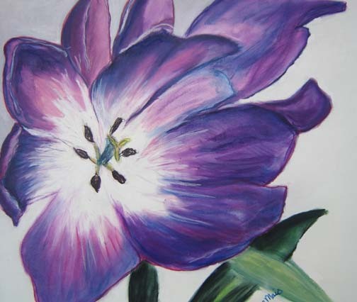 Full Bloom