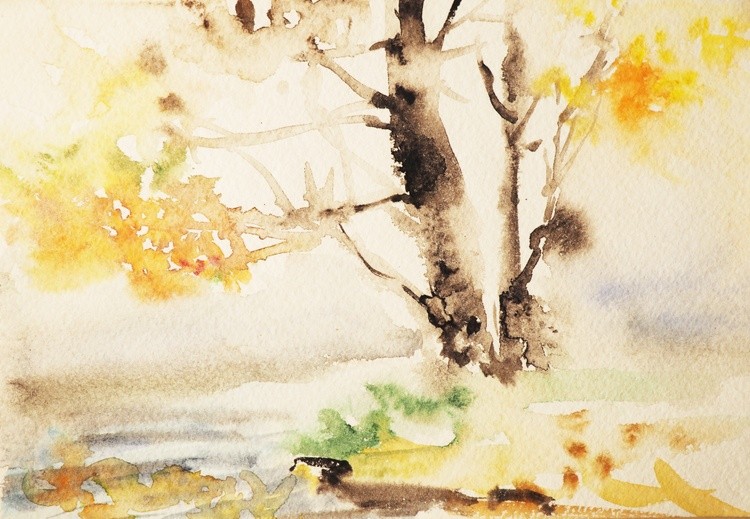 PC050097