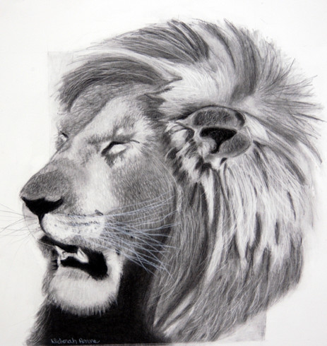 lion king