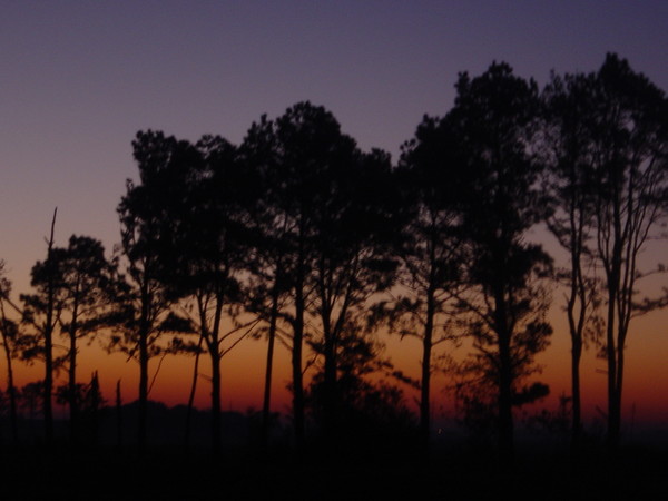 Sun Rise